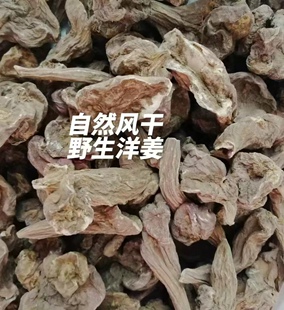 新货河北鬼子山药野生洋姜药食同源自然风干5斤鬼子姜卤咸菜原料