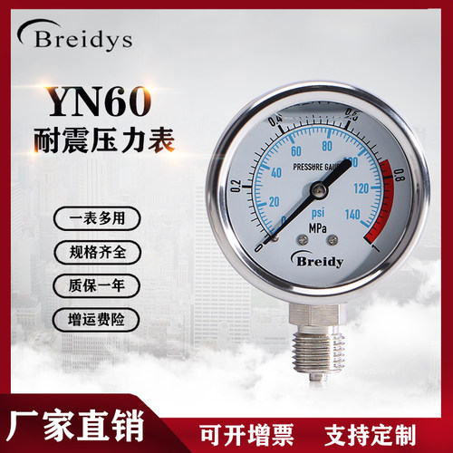 Breidys温州不锈钢压力表