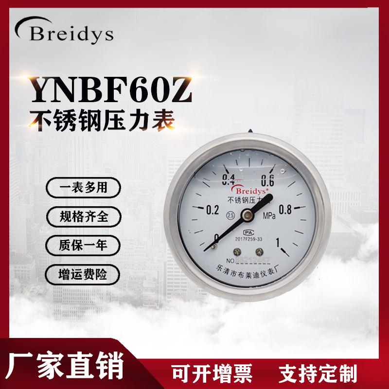 Breidys温州全不锈钢压力表
