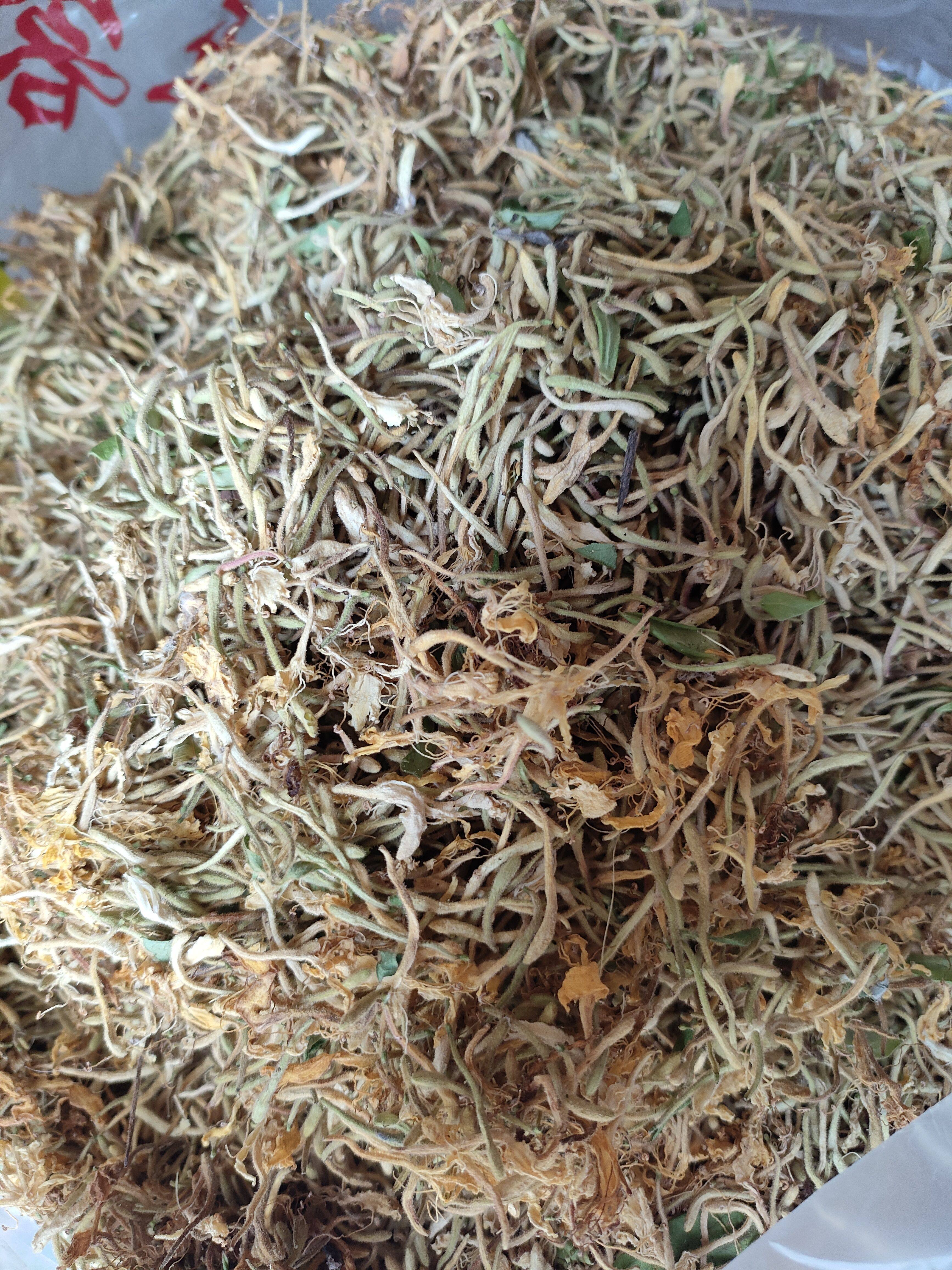 秦岭当季新鲜野生金银花忍冬500g包邮