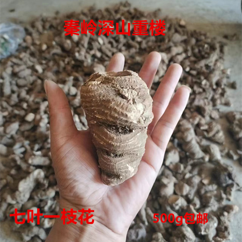 秦岭深山重楼七叶一枝花500g包邮