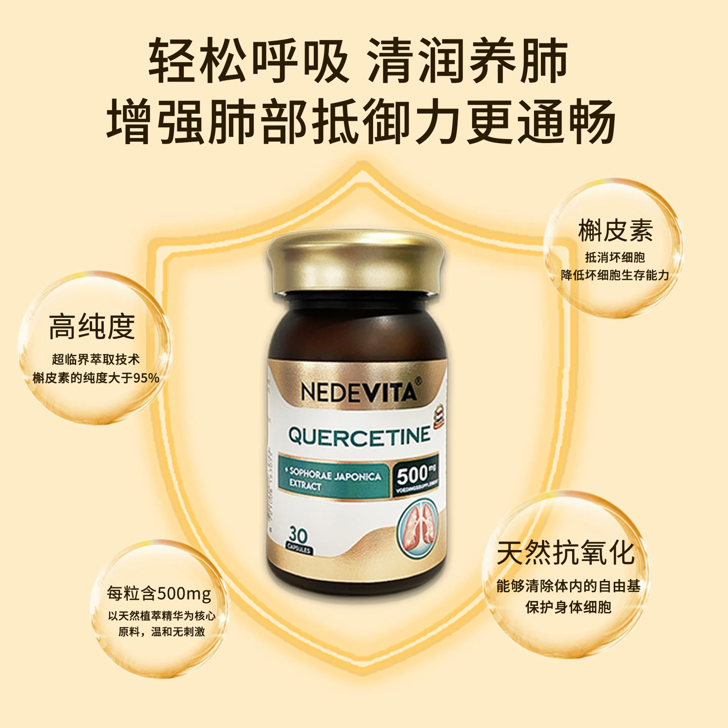 荷兰原装进口尼特维他NEDEVITA他槲皮素胶囊30粒呼吸道健康营养补