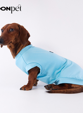 宠物衣服中小体型狗狗喵喵春夏季透气纯色T恤背心腊肠比熊约克夏