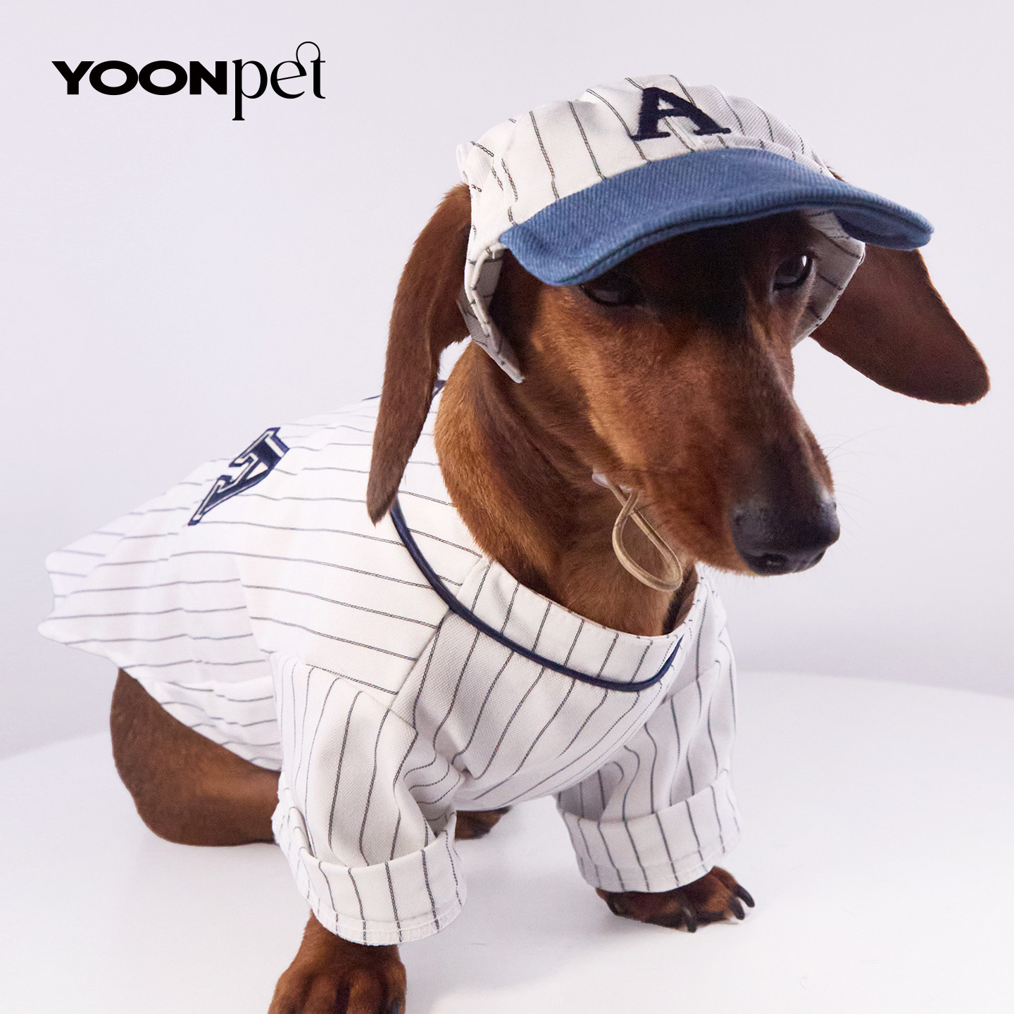 春夏季宠物狗狗猫咪棒球衣服帽子