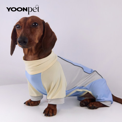 春夏狗狗宠物凉感夜光衣服腊肠狗