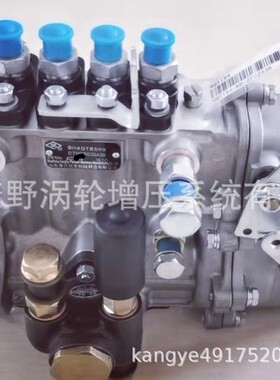 原装喷油泵BH4QT90R9 4QT191和4QTD676适用江动4Q288