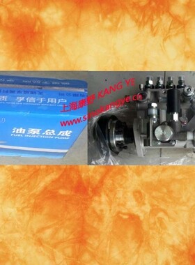 喷油泵 4PL1352A 和 4PL1221和1001223545A和1001223545B