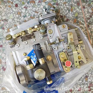 泵A9L00 B4PN98T5和E0500 B4PN93G-R B4PN93G3和B4PN93H3-R E1200