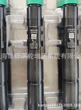 德尔福喷油器 1042200FD020 28386106和 28382353(新号28603943)