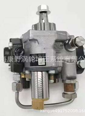 喷油泵 294000-1463-1460 22100-E0560和294000-0400