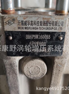适用河柴 原装威孚喷油泵 6P9W602 和和 6P9W603 BH6P9W160055
