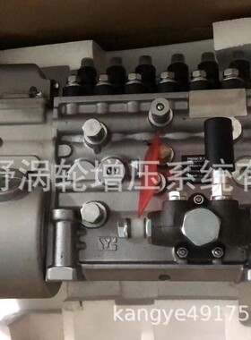 适用重汽喷油泵 VG1096080160 CB6TH953和VG1095080190 CB6TH952