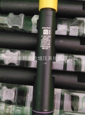 适用长城的喷油器1100100XED95 28599713和28397569 1100100XED61