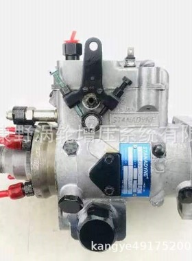 喷油泵DB4629-5656 RE503740和DE2635-6320 RE568067 RE518164