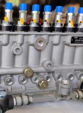 威曼VMAN的喷油泵 606D 12PW-125P 和0402810800 51.11103-7745