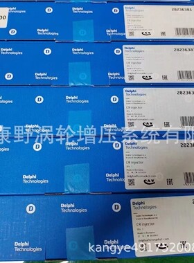 德尔福喷油器​28236381 ​33800-4A700和33800-4X400 EJBR03902D