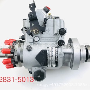 5028 适用F特喷油泵DB2831 4821 DB2831 4812 5013