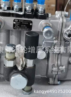 泵4Q541 4QF390-1 4Q384 4Q309 4QD427 4Q488QH和SHA110028=4Q613