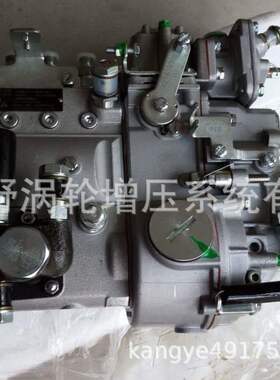 原装喷油泵BH4AD100R B4AD230C1  T73208356和电调泵B4AD432G1