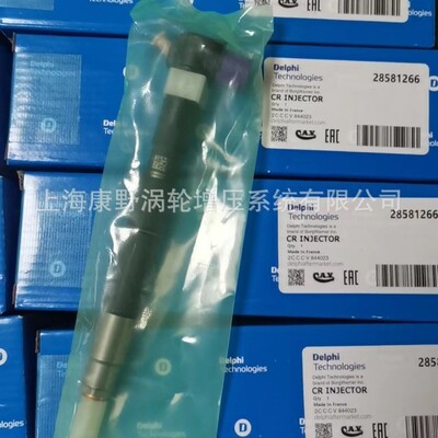 德尔福喷油器适用现代起亚原装