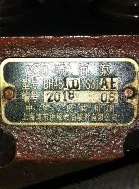 油泵BH4B100YS31AE BH4B100YS31AM BH4B100YS31AC BH4B100YS31BA