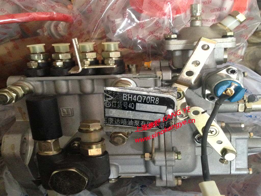 适用扬动强喷油泵原装正品