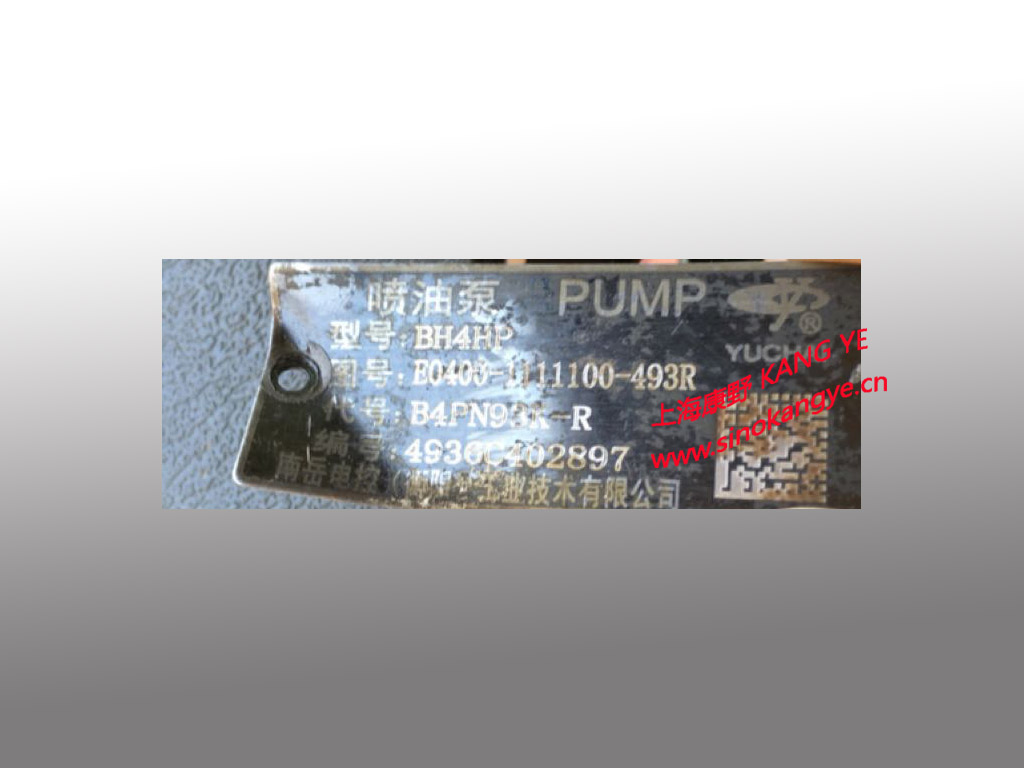 喷油泵E0403和E0400 B4PN93K-R和A9GF0 B4P649F1和F9310 B4PM940B