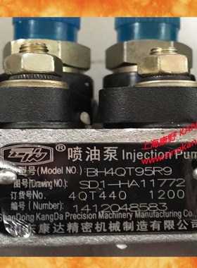 喷油泵BH4QT95R9 SD1-HA11772 4QT440和 0004QT572 4L88-180001Y