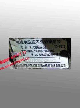 油泵CB6H982 VG1095080100和CB6H934 VG1246080097和1004090599Z