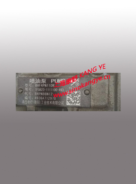 适用玉柴喷油泵1FQ623 B4PN98N12和4AD95 D8001 B4AD76P1电调泵