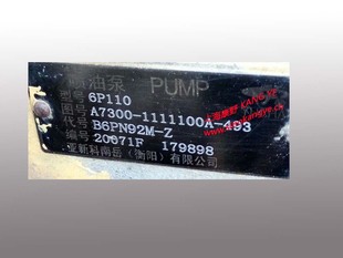 B6PN92R和A8M00 原装 Z和A87G0 B6PN92M B6PN92T YC喷油泵A7300