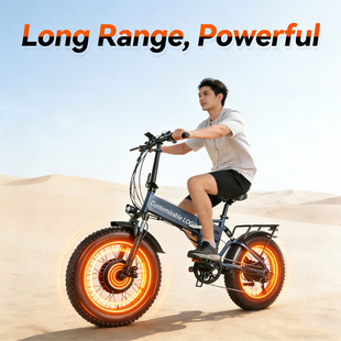 Folding Drive Dual Battery电助力自行车 Bike Removable