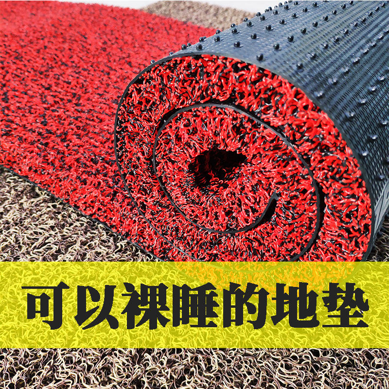 丝圈地垫进门大门口脚垫家用可裁剪地毯塑料入户门垫家用入门垫子