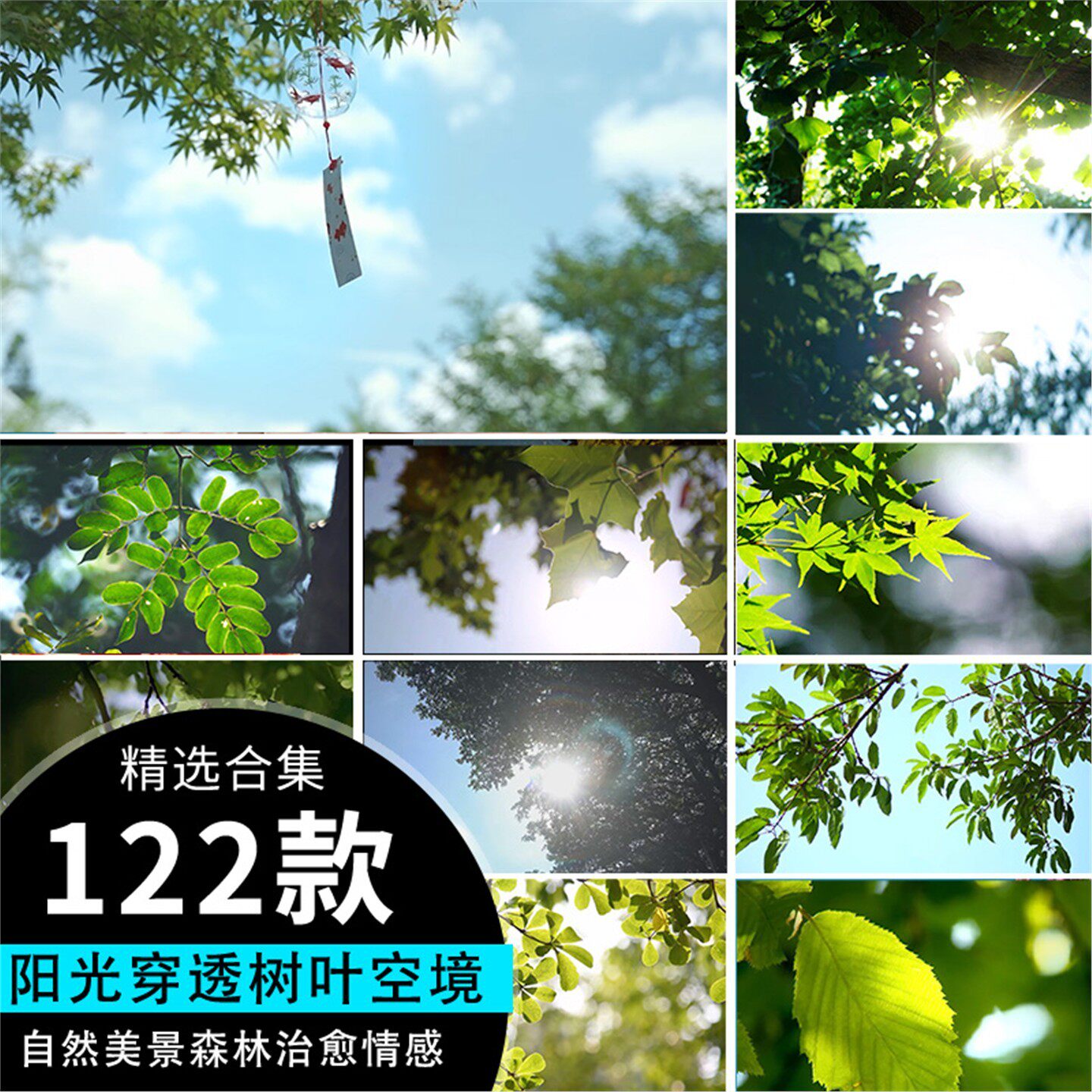 绿叶小清新森系唯美阳光穿透树叶树荫空镜自然森林4K视频素材