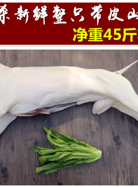 整只羊带皮和去皮山羊，全羊重40-50斤现杀新鲜山羊肉 生羊肉羊腿