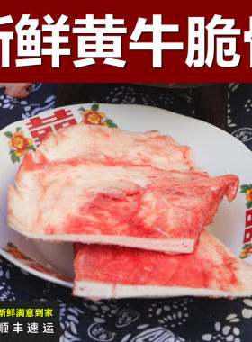 新鲜黄牛牛脆骨500g钙骨牛骨