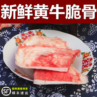 新鲜黄牛牛脆骨500g 牛月牙骨钙骨 牛骨另有黄牛肉新鲜生牛肉牛腱