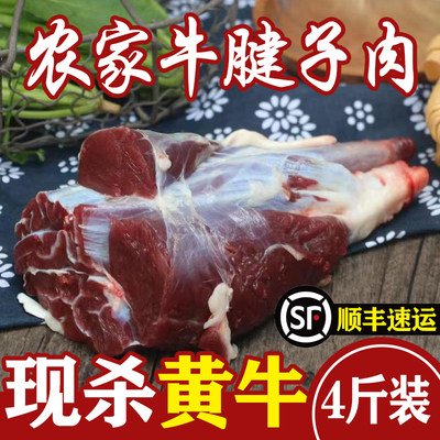 新鲜黄牛腱子肉4斤顺丰牛腱肉