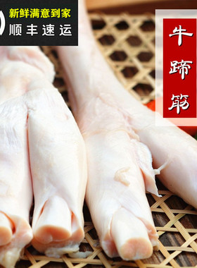 新鲜生蹄筋   生蹄筋 黄牛蹄筋 新鲜牛肉 生牛筋 黄牛筋 牛大筋