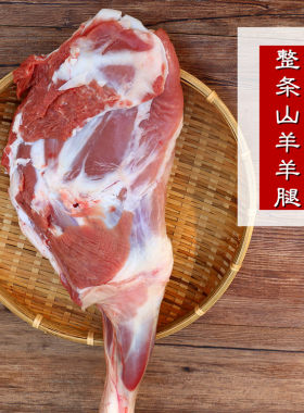 整条羊前腿3斤重羊肘子烧烤羊腿