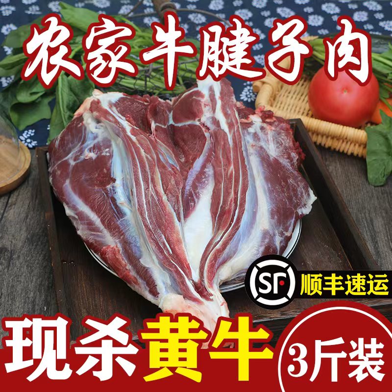 牛腱3斤装1500g包邮 新鲜 牛腱子 腱弧 黄牛肉 生牛肉  