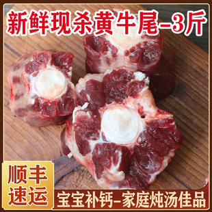牛尾巴 农家新鲜黄牛牛尾骨 牛尾3斤装 1500g