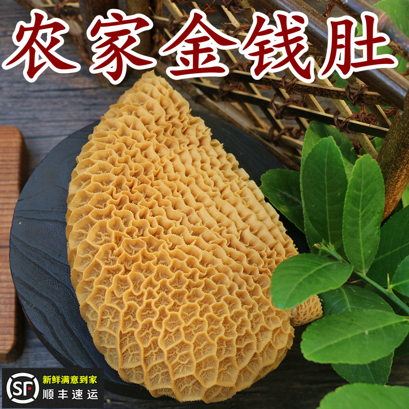 金钱肚蜂窝现煮新鲜农家黄牛