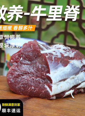 新鲜牛里脊4斤农家黄牛肉吊龙上脑生牛肉鲜牛肉菲力西冷雪花牛肉