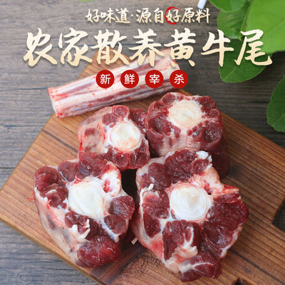 牛尾骨牛尾巴农家土黄牛肉包邮