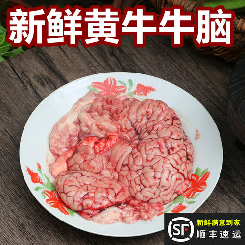 正宗新鲜黄牛牛脑15元一个