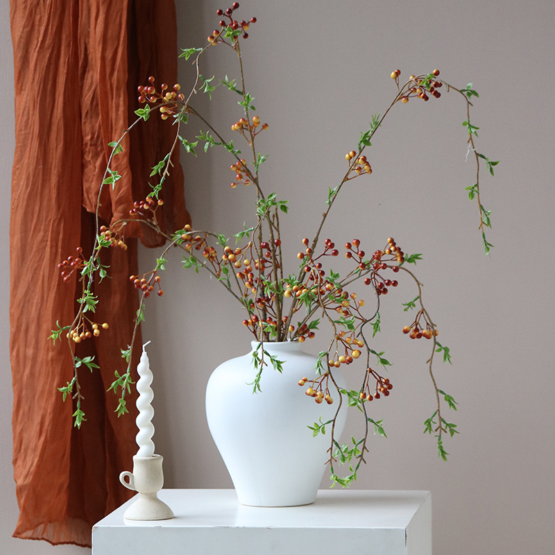 米子家居秋实野藤小浆果