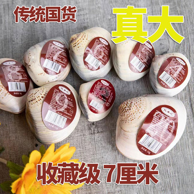 双丰收歪子油贝壳蛤蜊油防裂超大