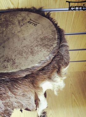 德瑞Terre非洲鼓进口整木13寸山羊皮丽江手鼓金贝鼓Djembe德国