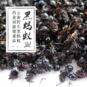 云南野生大黑蚂蚁 黑蚂蚁粉 黑蚂蚁干 文山黑蚂蚁500克